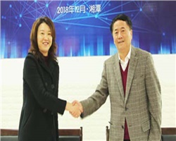 銳意進取，創(chuàng)新發(fā)展—威勝電氣2019年經(jīng)營管理目標宣貫會勝利召開