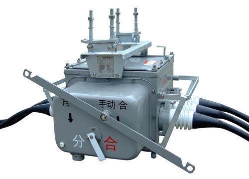 WS-ZKW28-12/630-20智能型戶(hù)外高壓交流真空負(fù)荷開(kāi)關(guān)